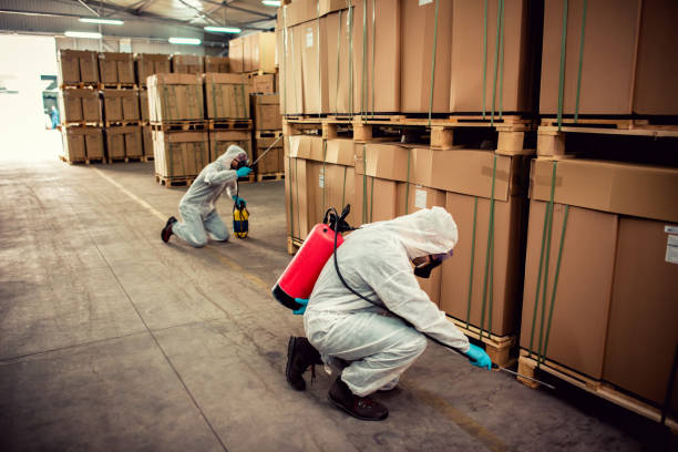 Pest Control for Restaurants in Luray, VA