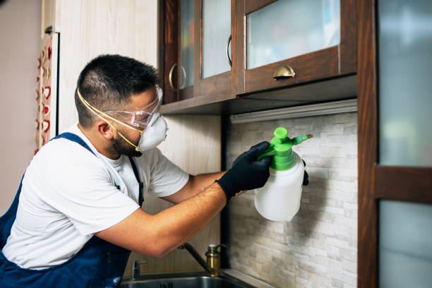 Best Residential Pest Control  in Luray, VA