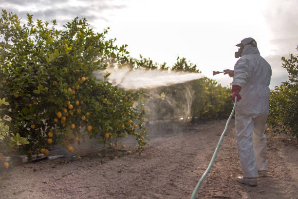 Best Affordable Exterminators  in Luray, VA