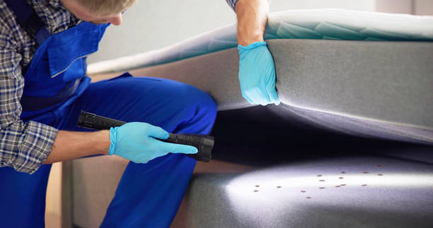 Best Rat Extermination Near Me  in Luray, VA