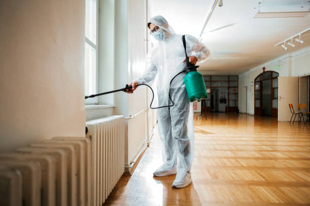Best Bed Bug Extermination  in Luray, VA