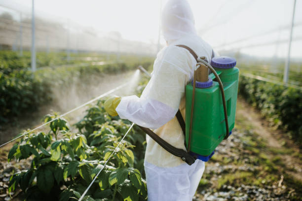 Best Flea Control Services  in Luray, VA